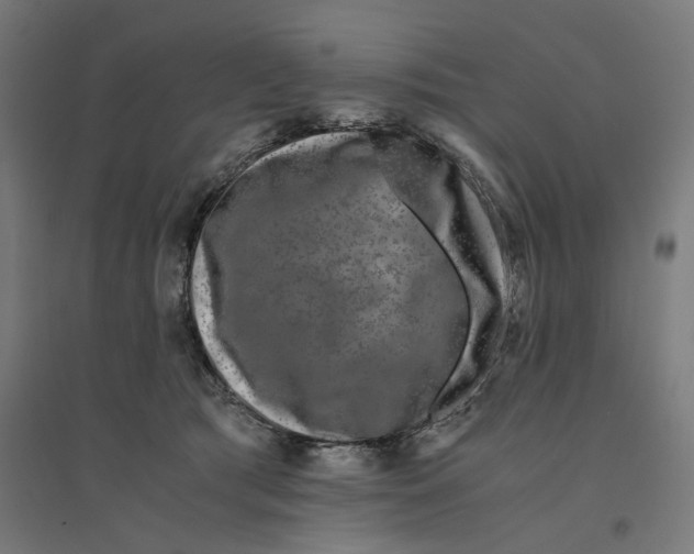 X0000094430417200712061118