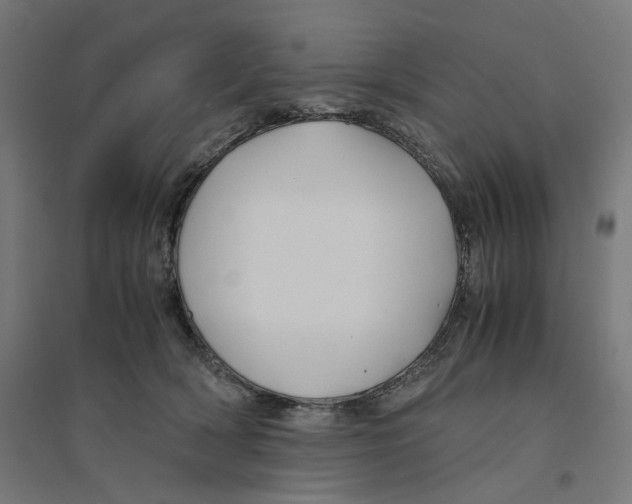 X0000094430418200712061118