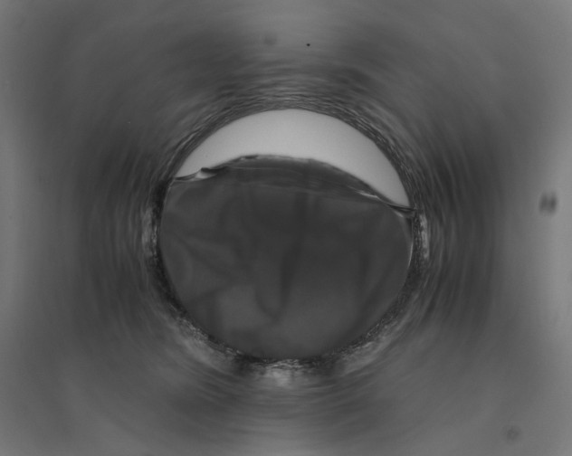 X0000094430420200712061118