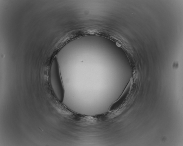 X0000094430421200712061118