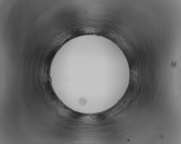 X0000094430422200712061118