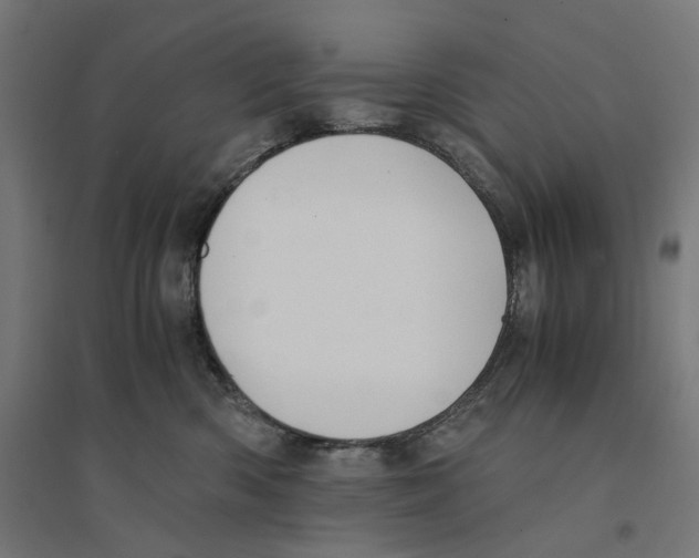 X0000094430426200712061118