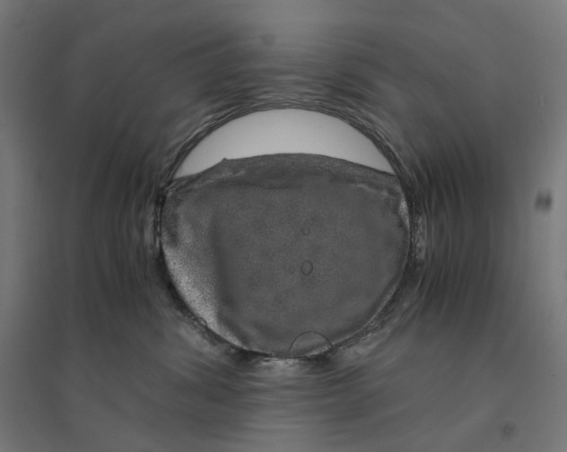 X0000094430428200712061118