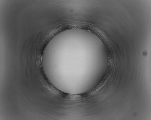 X0000094430429200712061118