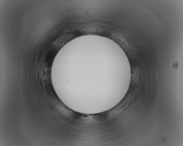 X0000094430430200712061118