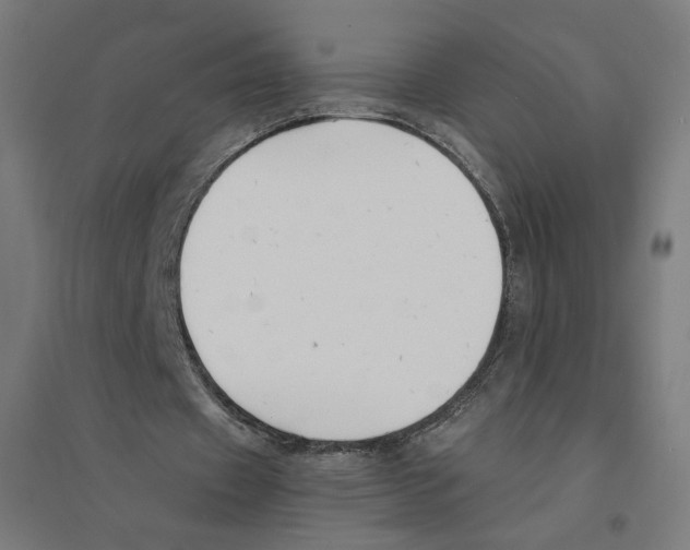 X0000094430433200712061117