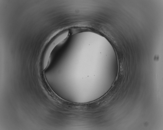 X0000094430436200712061117