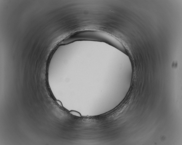 X0000094430437200712061117