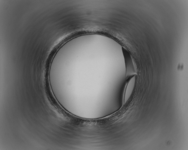 X0000094430440200712061117