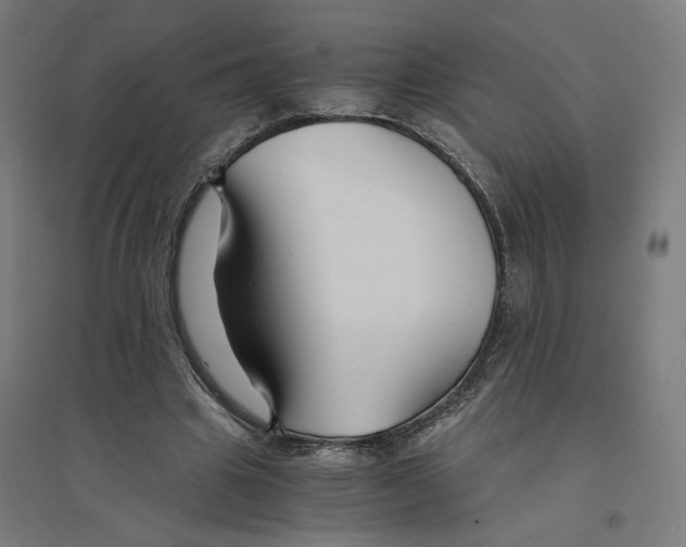 X0000094430441200712061117