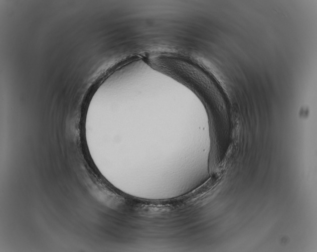 X0000094430443200712061117