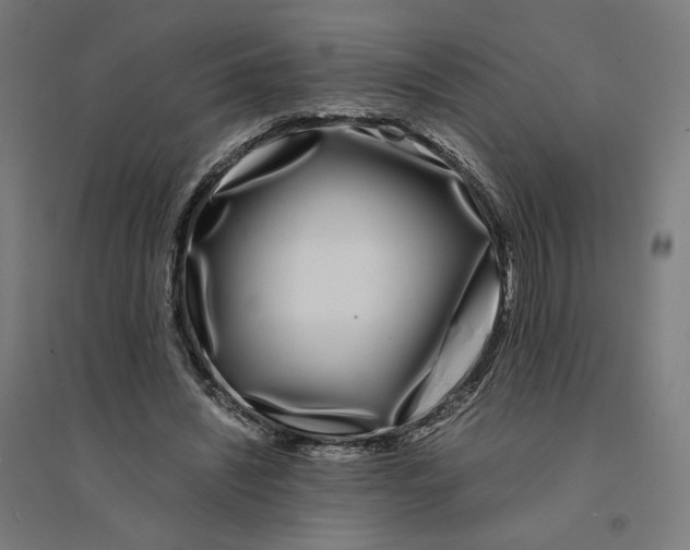 X0000094430444200712061117