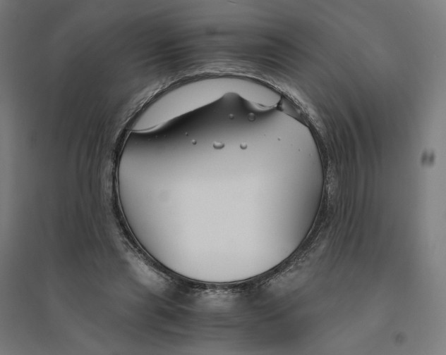 X0000094430445200712061117