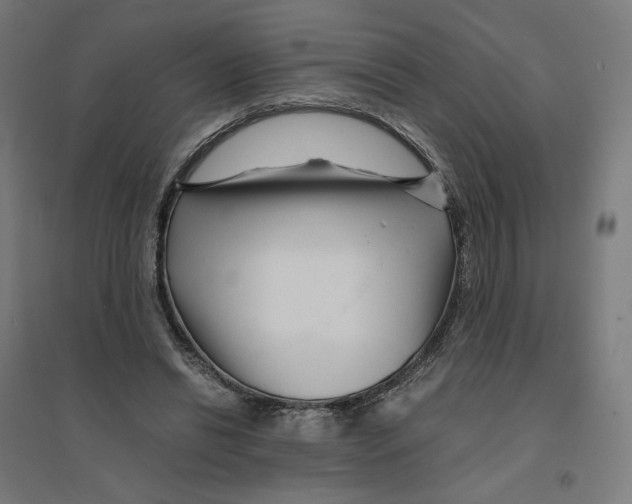 X0000094430446200712061117