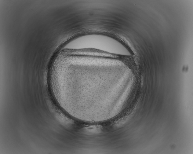 X0000094430447200712061117