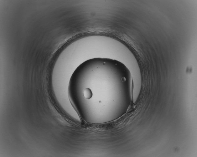 X0000094430448200712061117