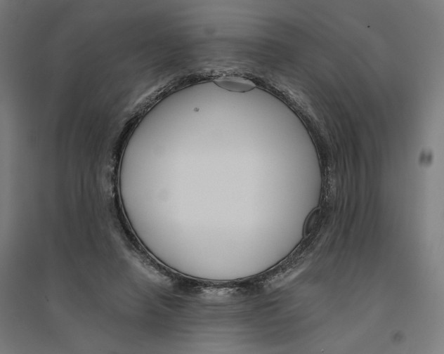 X0000094430450200712061117