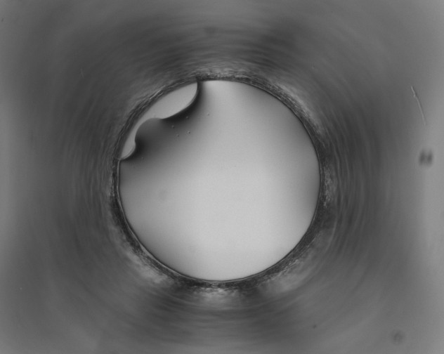 X0000094430453200712061117