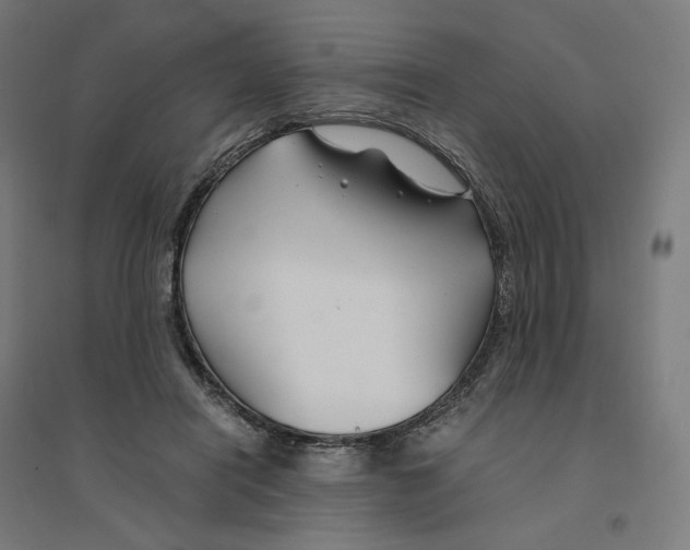 X0000094430454200712061117