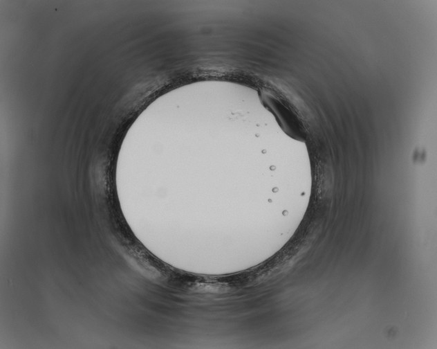 X0000094430455200712061117