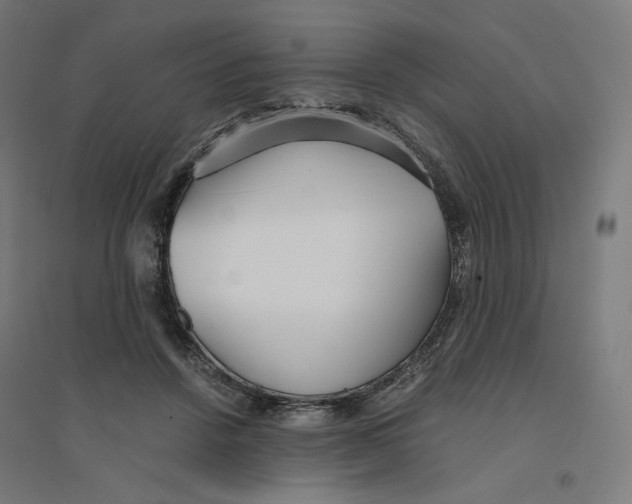 X0000094430456200712061117