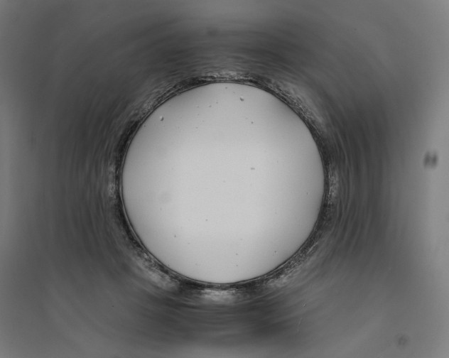 X0000094430457200712061117