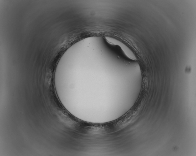 X0000094430458200712061117