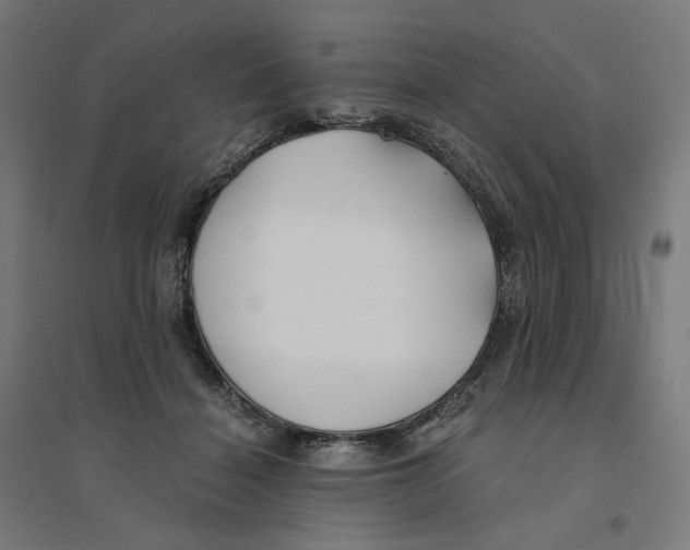 X0000094430460200712061117