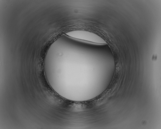 X0000094430464200712061118