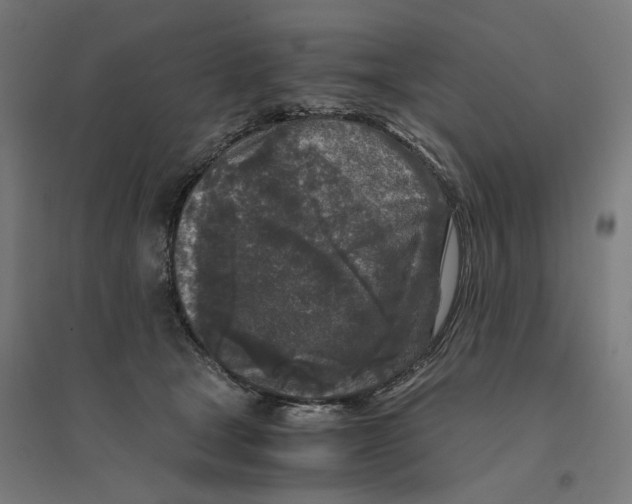 X0000094430465200712061118