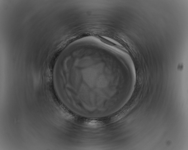 X0000094430467200712061118