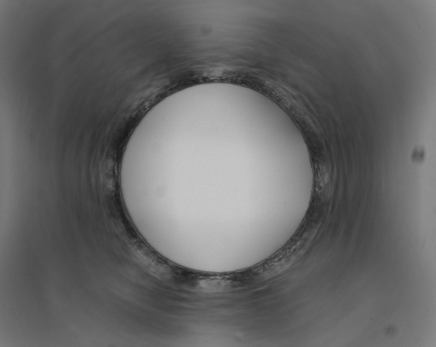 X0000094430470200712061118