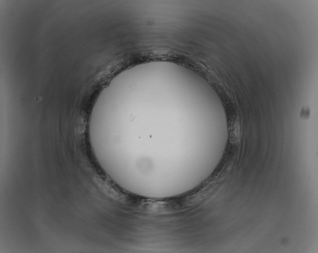 X0000094430472200712061118