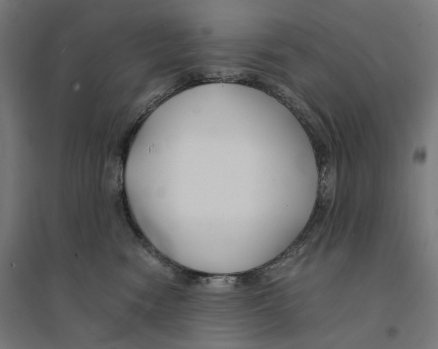 X0000094430474200712061118