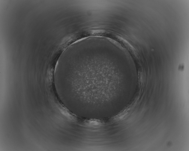 X0000094430475200712061118