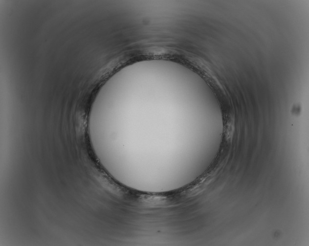 X0000094430476200712061118