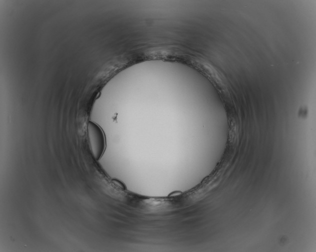 X0000094430477200712061118