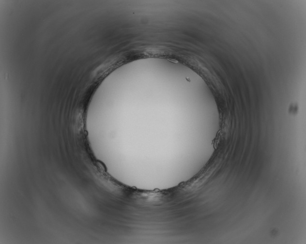 X0000094430478200712061118