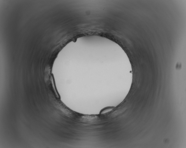 X0000094430480200712061118