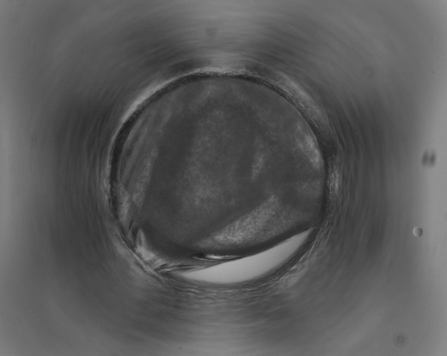 X0000094430484200712061117