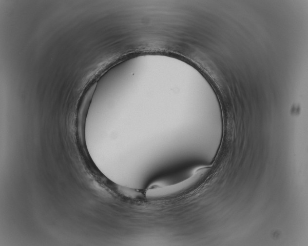 X0000094430485200712061117