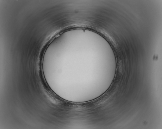 X0000094430486200712061117