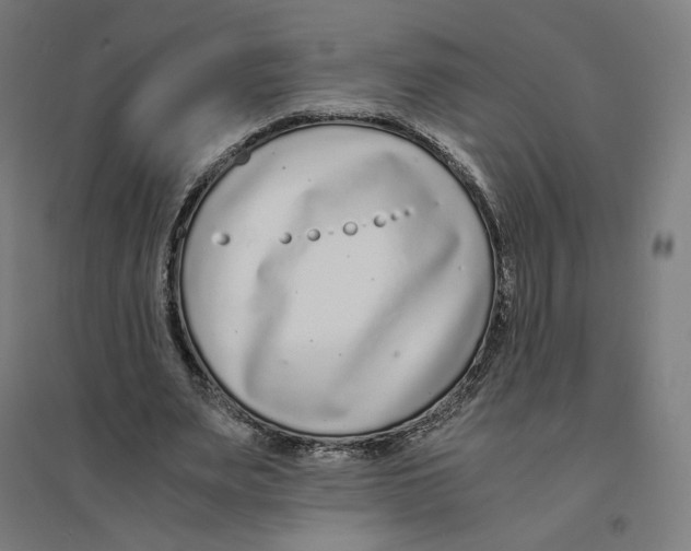 X0000094430487200712061117