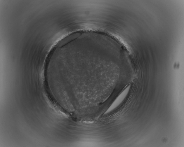 X0000094430488200712061117