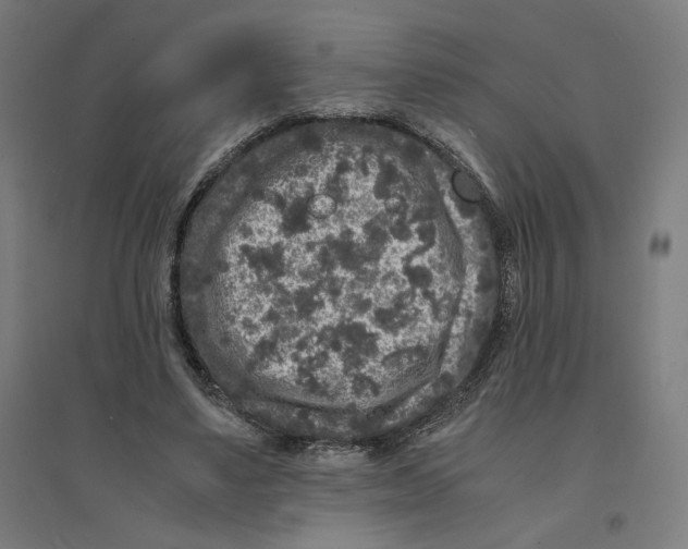 X0000094430491200712061117