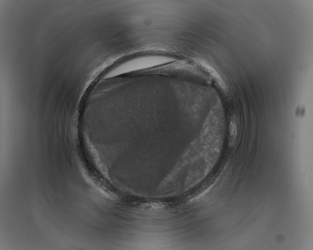 X0000094430492200712061117