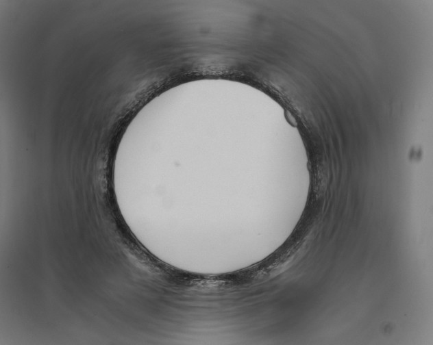 X0000094430497200712061117