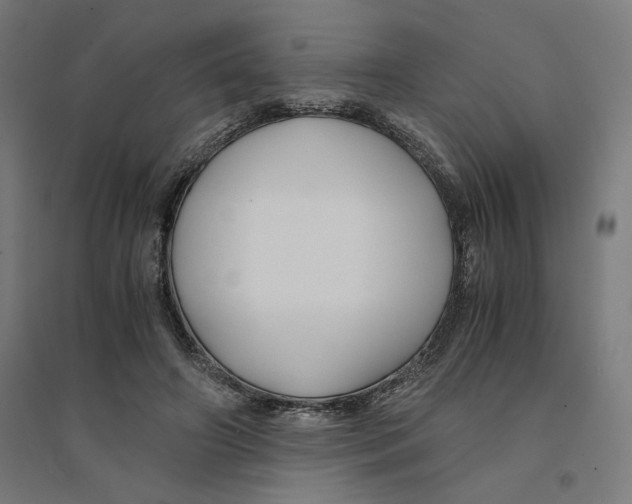 X0000094430498200712061117