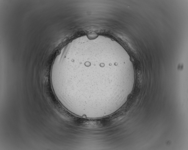 X0000094430499200712061117