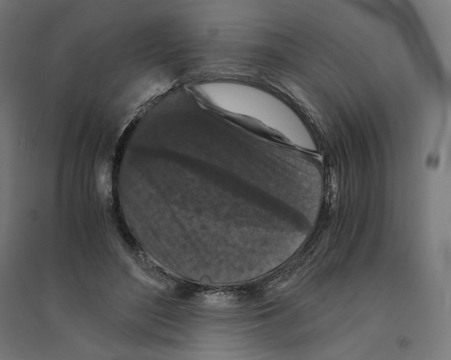 X0000094430500200712061117